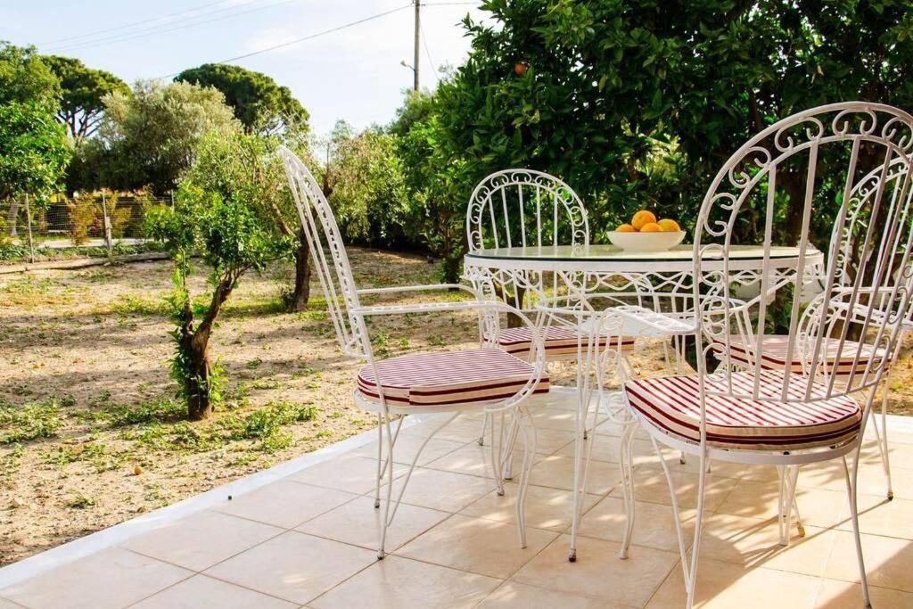 The Tower With The Orange Tree Garden Villa Ialysos  Exterior photo